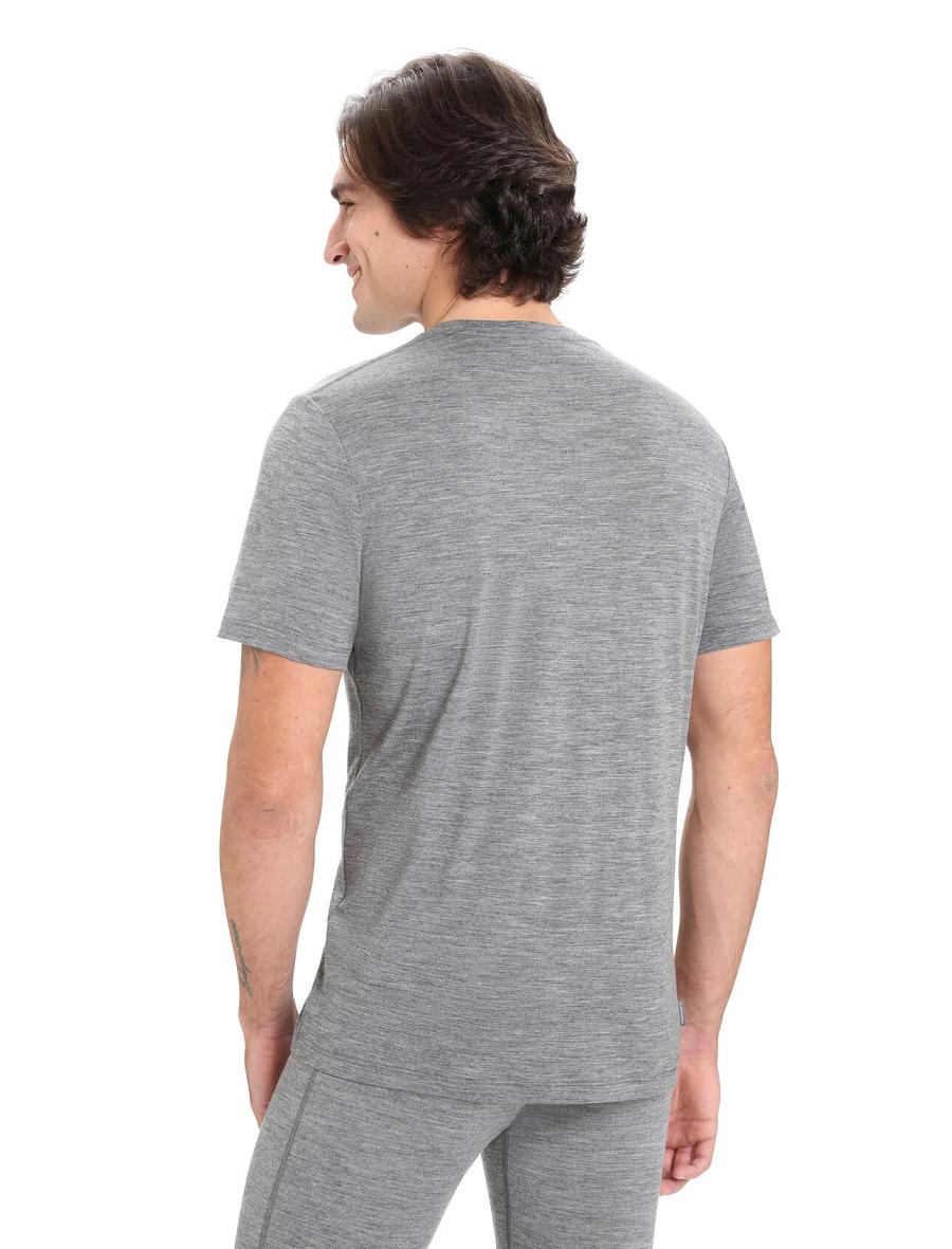 Koszulki Icebreaker Merino Tech Lite II Krótkie Sleeve Tee Męskie Szare | PL 1779TCEV